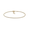 Thumbnail Image 1 of Rope Chain Anklet Semi-Solid 14K Yellow Gold 10”