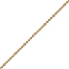 Thumbnail Image 2 of Rope Chain Anklet Semi-Solid 14K Yellow Gold 10”