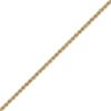 Thumbnail Image 1 of Rope Chain Anklet 14K Yellow Gold 10”