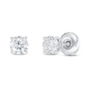 Thumbnail Image 0 of Lab-Created Diamonds by KAY Solitaire Stud Earrings 1/2 ct tw 14K White Gold (F/SI2)