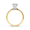 THE LEO Diamond Artisan Ring 1 Carat Round-cut 14K Yellow Gold