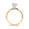 THE LEO Diamond Artisan Ring 1 Carat Round-cut 14K Yellow Gold