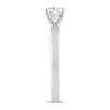 Thumbnail Image 3 of THE LEO Diamond Artisan Ring 1/2 Carat Round-cut 14K White Gold