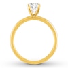 Thumbnail Image 1 of THE LEO Diamond Artisan Ring 1 Carat 14K Yellow Gold