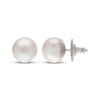 Thumbnail Image 1 of Button Cultured Pearl Stud Earrings Sterling Silver