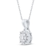 &nbsp;