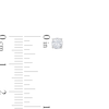 Thumbnail Image 2 of Lab-Created Diamonds by KAY Solitaire Stud Earrings 1/2 ct tw 14K White Gold (F/VS2)