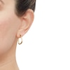 Thumbnail Image 5 of Hoop Earrings Gift Set 14K Yellow Gold