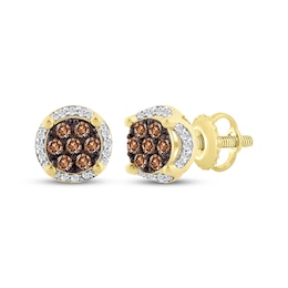 Men's Brown & White Multi-Diamond Circle Stud Earrings 1/2 ct tw 10K Yellow Gold