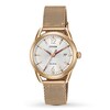 Thumbnail Image 1 of Citizen Women's Watch Drive FE6083-72A
