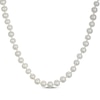 Thumbnail Image 1 of 6.5mm Freshwater Cultured Pearl Necklace Sterling Silver 18"