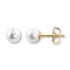 Thumbnail Image 0 of Cultured Pearl Earrings 14K Yellow Gold