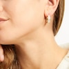 Thumbnail Image 2 of Italian Glitter Hoop Earrings 14K Yellow Gold