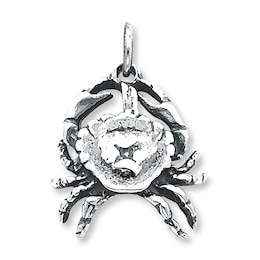 Cancer Charm Sterling Silver