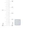 Thumbnail Image 5 of Men's Lab-Grown Diamond Multi-Stone Square Stud Earrings 2 ct tw 10K White Gold