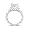 Thumbnail Image 2 of Adore Princess-Cut Multi-Diamond Engagement Ring 1 ct tw 10K White Gold
