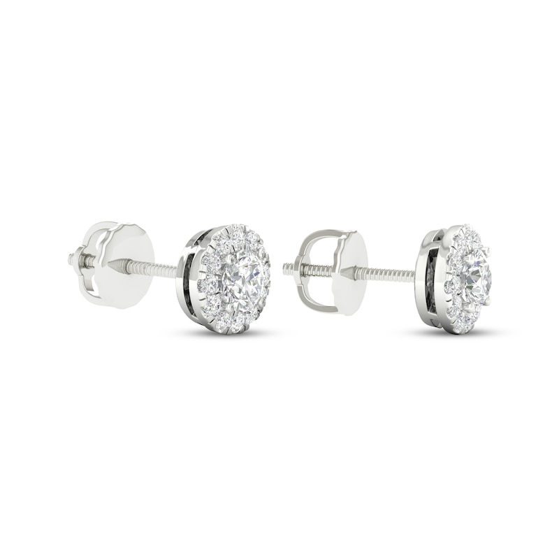 Main Image 4 of KAY Lab-Grown diamonds Halo Stud Earrings 1/2 ct tw 14K White Gold (F/VS2)