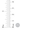 Thumbnail Image 6 of KAY Lab-Grown diamonds Halo Stud Earrings 1/2 ct tw 14K White Gold (F/VS2)