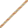 Thumbnail Image 2 of 4.5mm Silk Rope Chain Necklace Semi-Solid 10K Tri-Tone Gold 7.5"