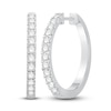 Thumbnail Image 1 of Previously Owned Diamond Hoop Earrings 1/2 ct tw 10K White Gold