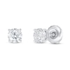 Thumbnail Image 1 of Previously Owned KAY Lab-Grown Diamonds Solitaire Stud Earrings 1/2 ct tw 14K White Gold (F/SI2)