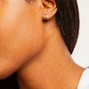 Thumbnail Image 4 of Previously Owned THE LEO Diamond Solitaire Earrings 1/2 ct tw Round-cut 14K White Gold (I/I1)