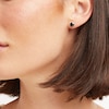 Thumbnail Image 5 of Round-cut Black Diamond Solitaire Stud Earrings 2 ct tw 10K Yellow Gold
