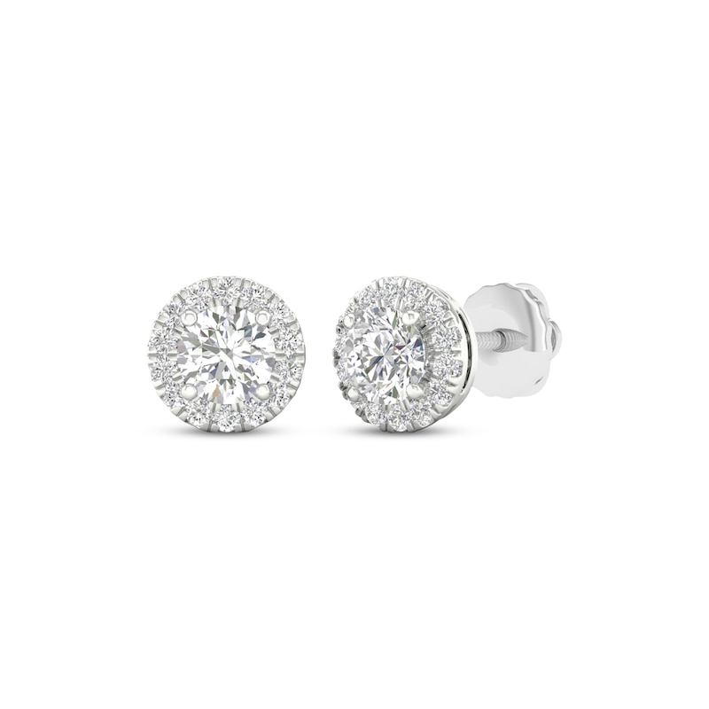 Main Image 1 of KAY Lab-Grown Diamonds Round-Cut Halo Stud Earrings 1 ct tw 14K White Gold (F/VS2)