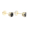 Thumbnail Image 4 of Round-cut Black Diamond Solitaire Stud Earrings 1 ct tw 10K Yellow Gold