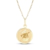 Thumbnail Image 1 of Zodiac Aquarius Medallion Necklace 14K Yellow Gold 18"