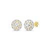 Thumbnail Image 1 of Diamond Star Halo Stud Earrings 1/2 ct tw 10K Yellow Gold